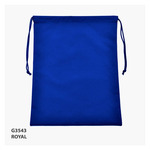 Dawson Swim Bag